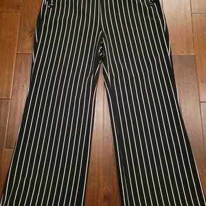 Womens dress pants size xl